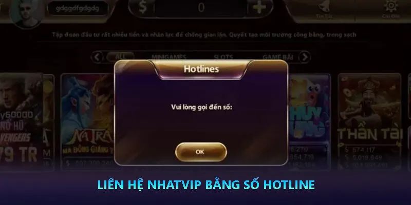 Tổng hợp hình thức liên hệ Nhatvip phổ biến 2 Liên hệ Nhatvip bằng số hotline